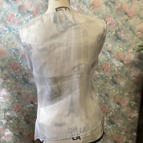 H&M Sliver Long Sleeve Sheer Top - Picture 4 of 6